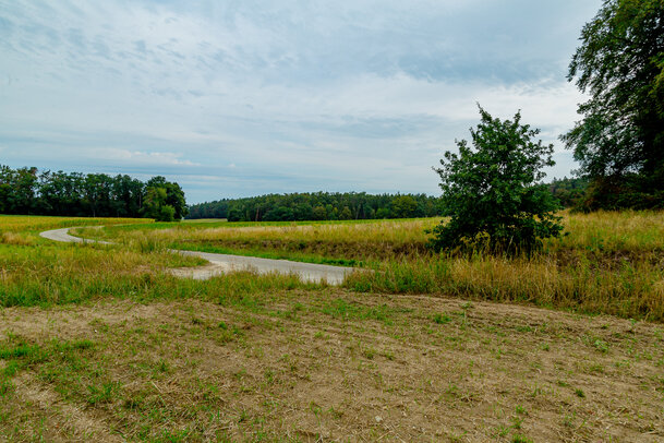 Thumbnail: _JA 40716 Natur pur.jpg